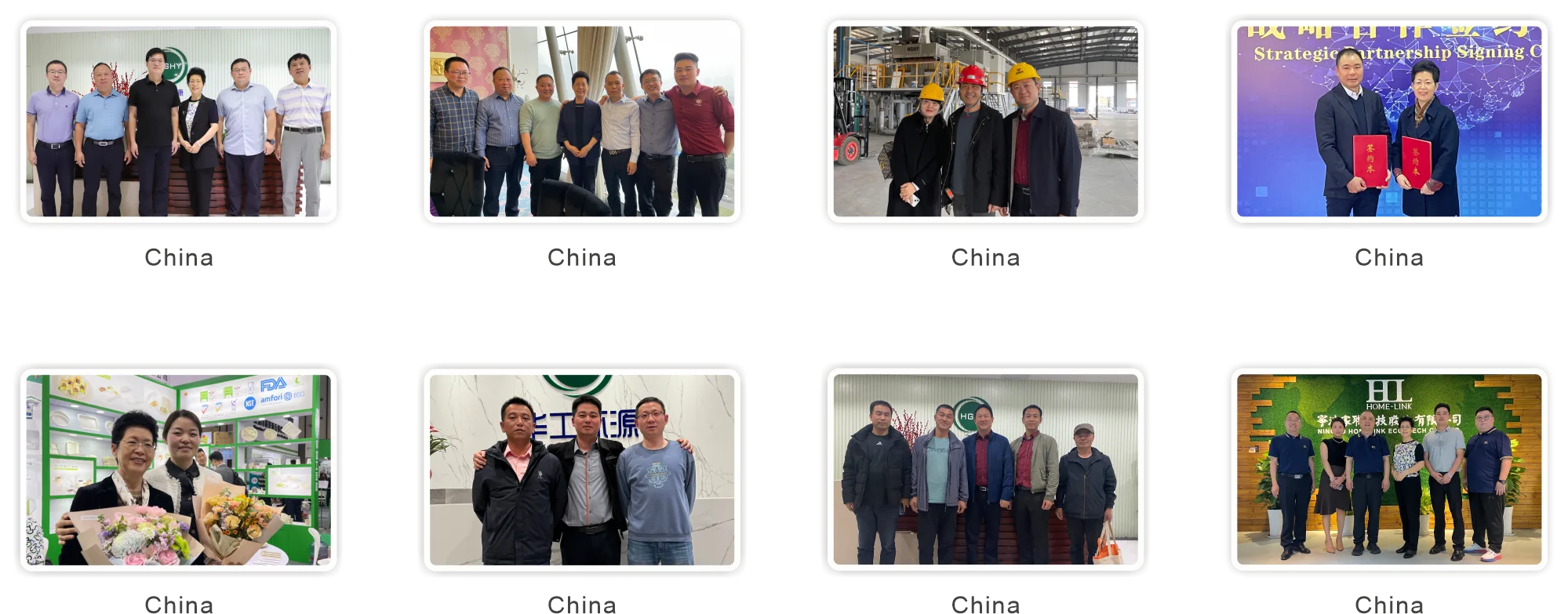 首页插图18 HGHY-Asian-Customer-5.webp